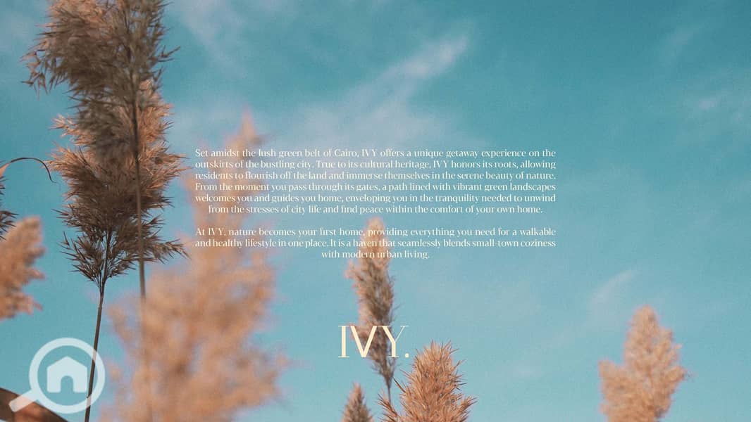 3 IVY-APARTMENTS_page-0003. jpg