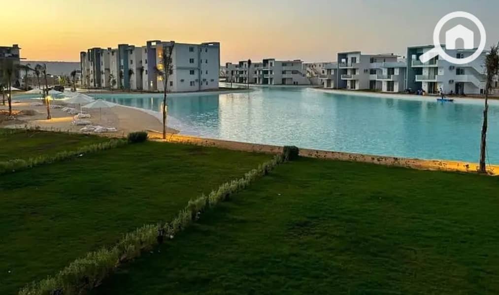 2 فوكا (3). jpeg