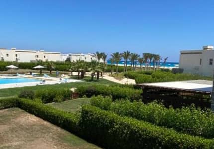 توين هاوس 5 غرف نوم للايجار في الساحل الشمالي، مطروح - Amwaj North Coast Villa for Rent