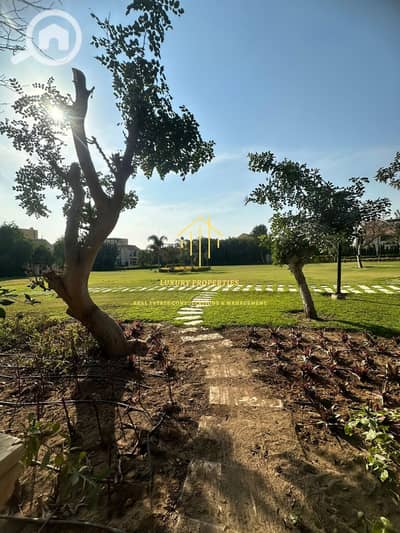 3 Bedroom Villa for Sale in Madinaty, Cairo - WhatsApp Image 2025-04-28 at 10.48. 08 PM. jpeg