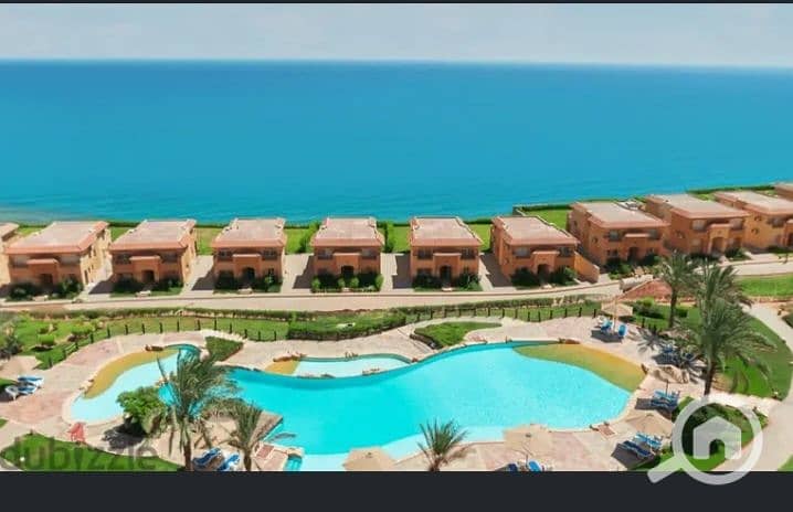 3 Screenshot_٢٠٢٤٠٤٢٥_٠٠١٢٠٠_edit_29060350280319. jpg