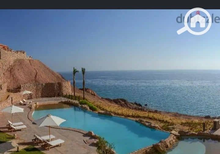 5 Screenshot_٢٠٢٤٠٤٢٥_٠٠١٢١٢_edit_29043152879753. jpg