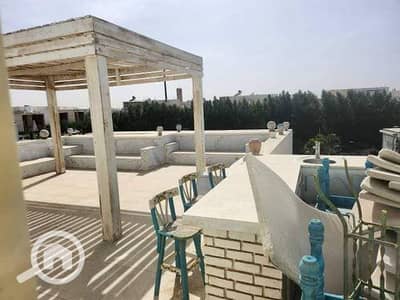 4 Bedroom Flat for Sale in New Cairo, Cairo - 471488058_122138786738502265_2912746184328764897_n. jpg
