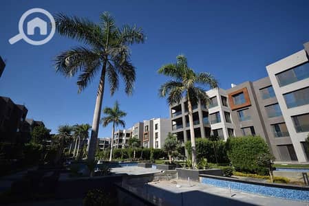 3 Bedroom Apartment for Rent in New Cairo, Cairo - Silverpalm-1. jpg