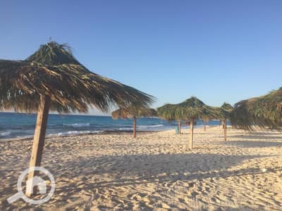 شاليه 3 غرف نوم للبيع في الساحل الشمالي، مطروح - WhatsApp Image 2025-06-03 at 6.15. 49 PM (1). jpeg