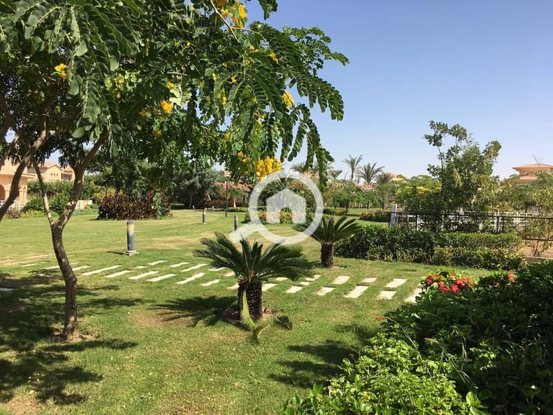 5 ef5ad4ca-31ed-4ffe-9ab9-d56c7d4afc7a. jpg