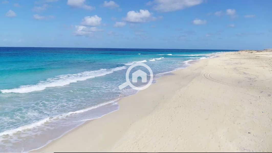 6 cali coast. jpg