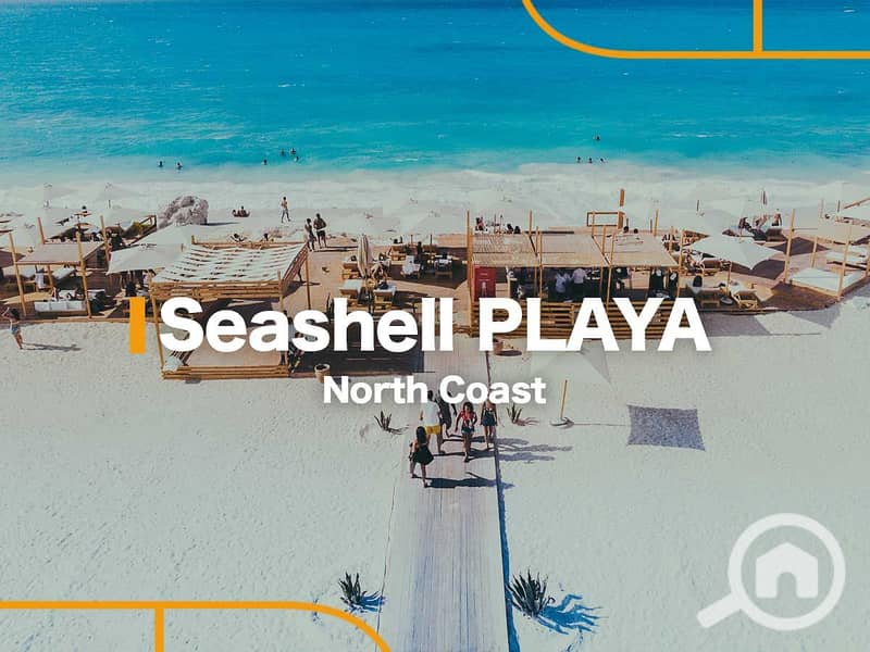 2 sea-shell-playa-north-coast. jpg