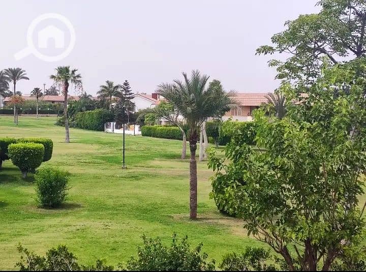 5 IMG_٢٠٢٥٠٣٢٠_١٢٥١٠١. jpg