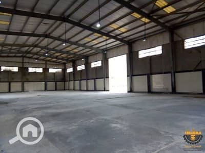 مصنع  للايجار في العاشر من رمضان، الشرقية - مصنع للايجار 2700