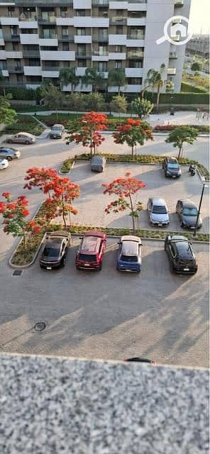 7 WhatsApp Image 2025-06-11 at 12.06. 55. jpg
