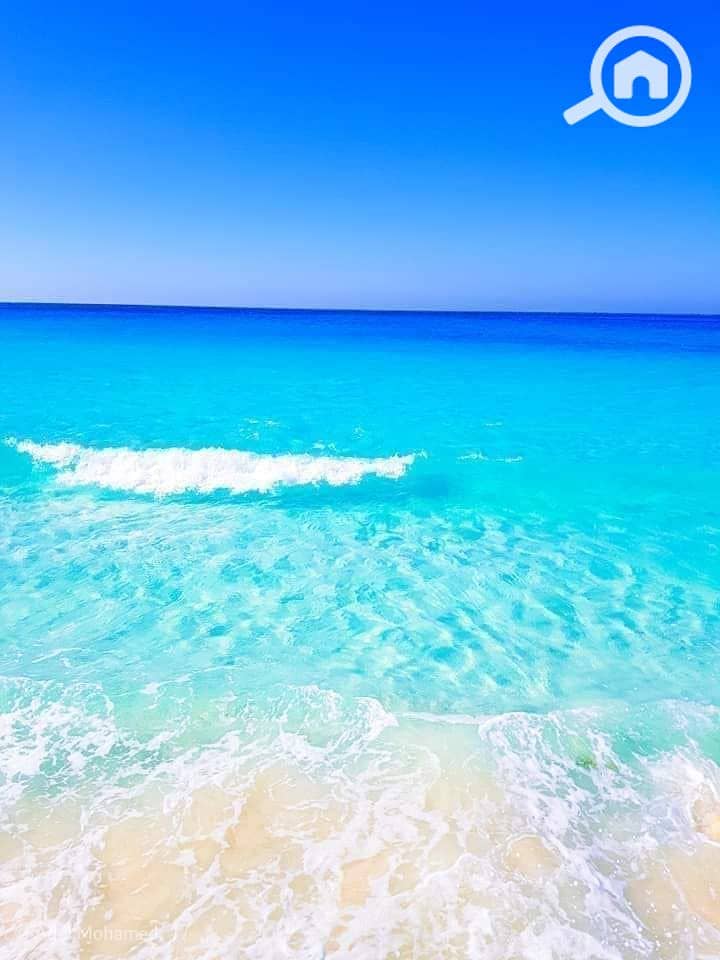 7 347565929_6166651136757111_8386381722309390420_n. jpg