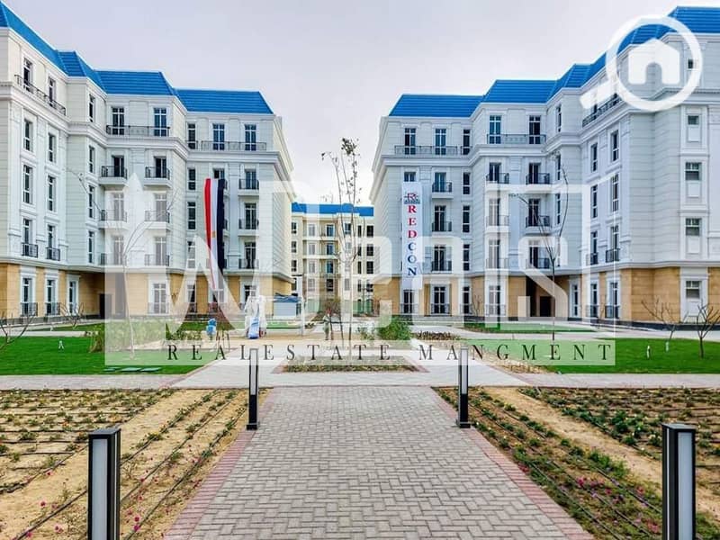7 The-Latin-District-City-Edge. jpg