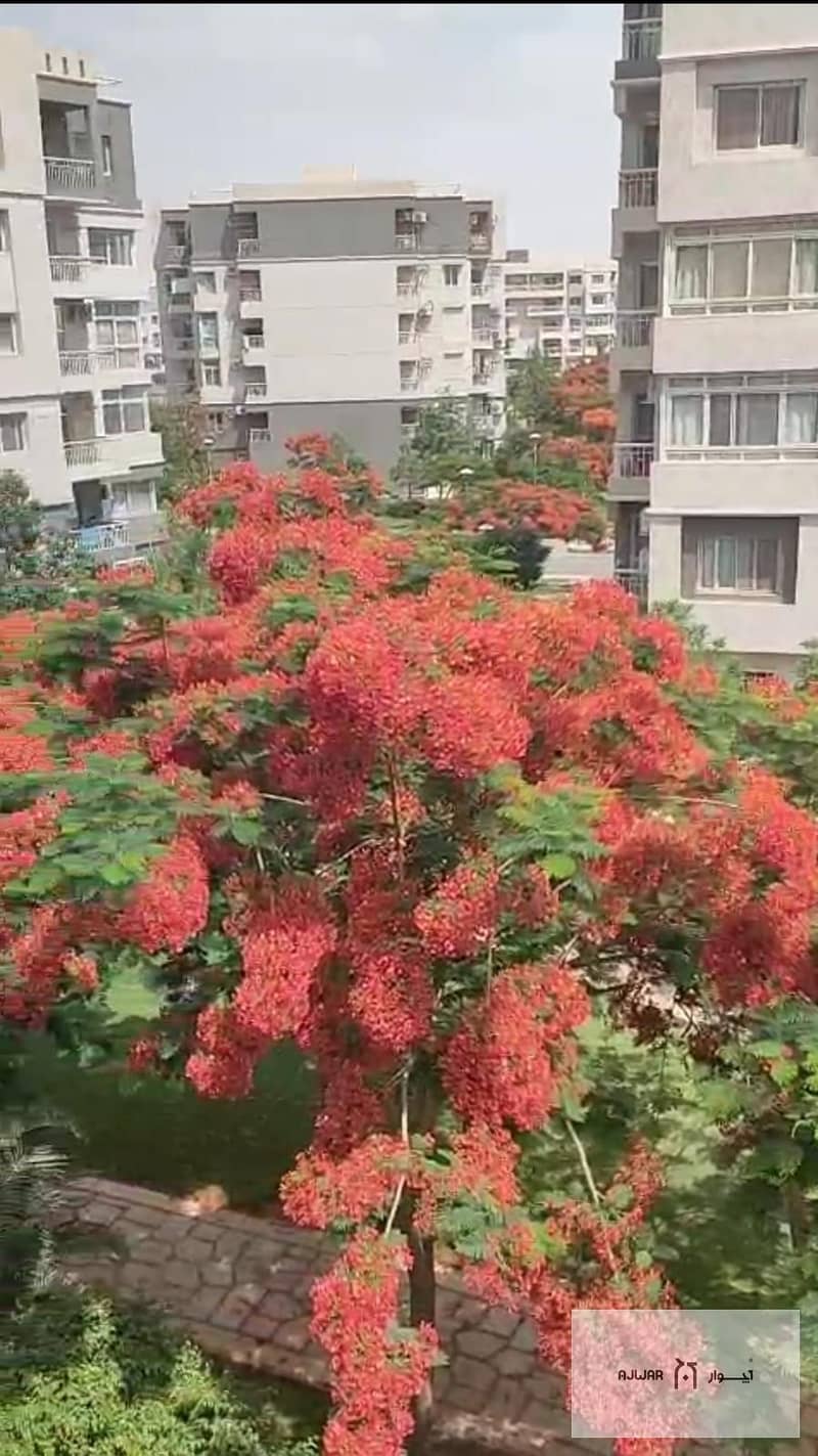 2 WhatsApp Image 2025-06-12 at 11.46. 43 AM. jpeg