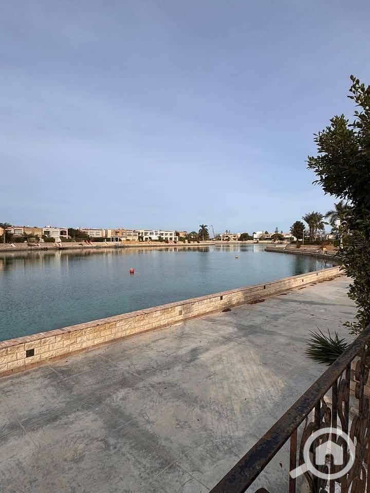 4 491936756_3916003802045072_1974931524771830016_n. jpg