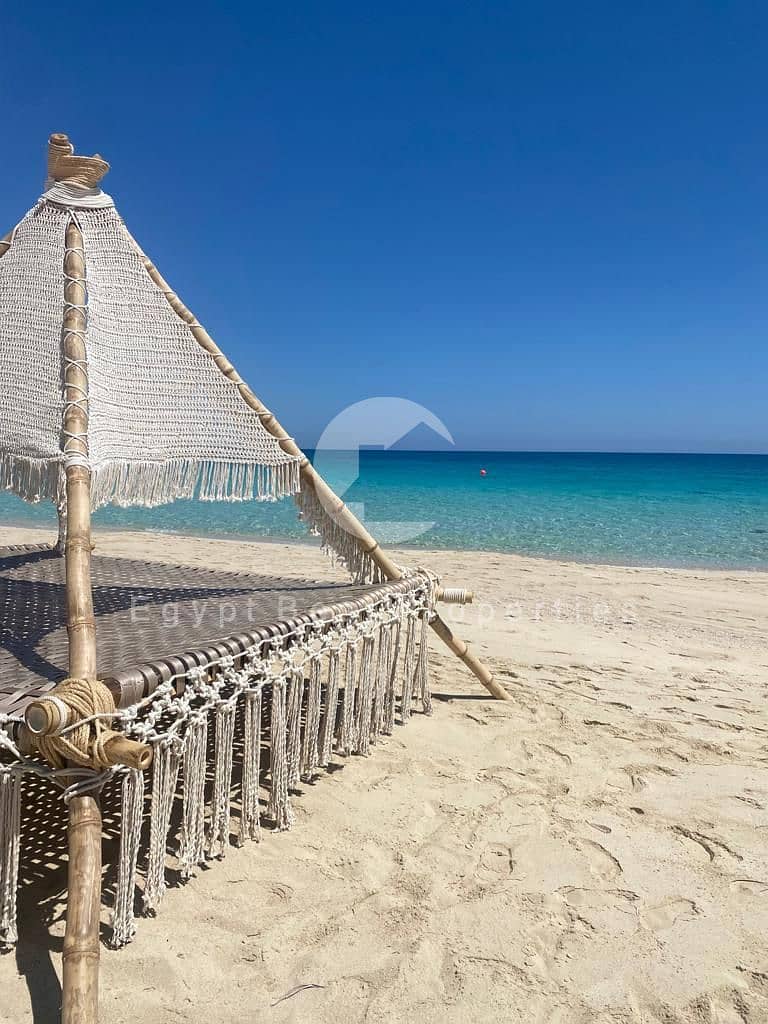 4 WhatsApp Image 2025-05-12 at 16.02. 49_1d012635. jpg