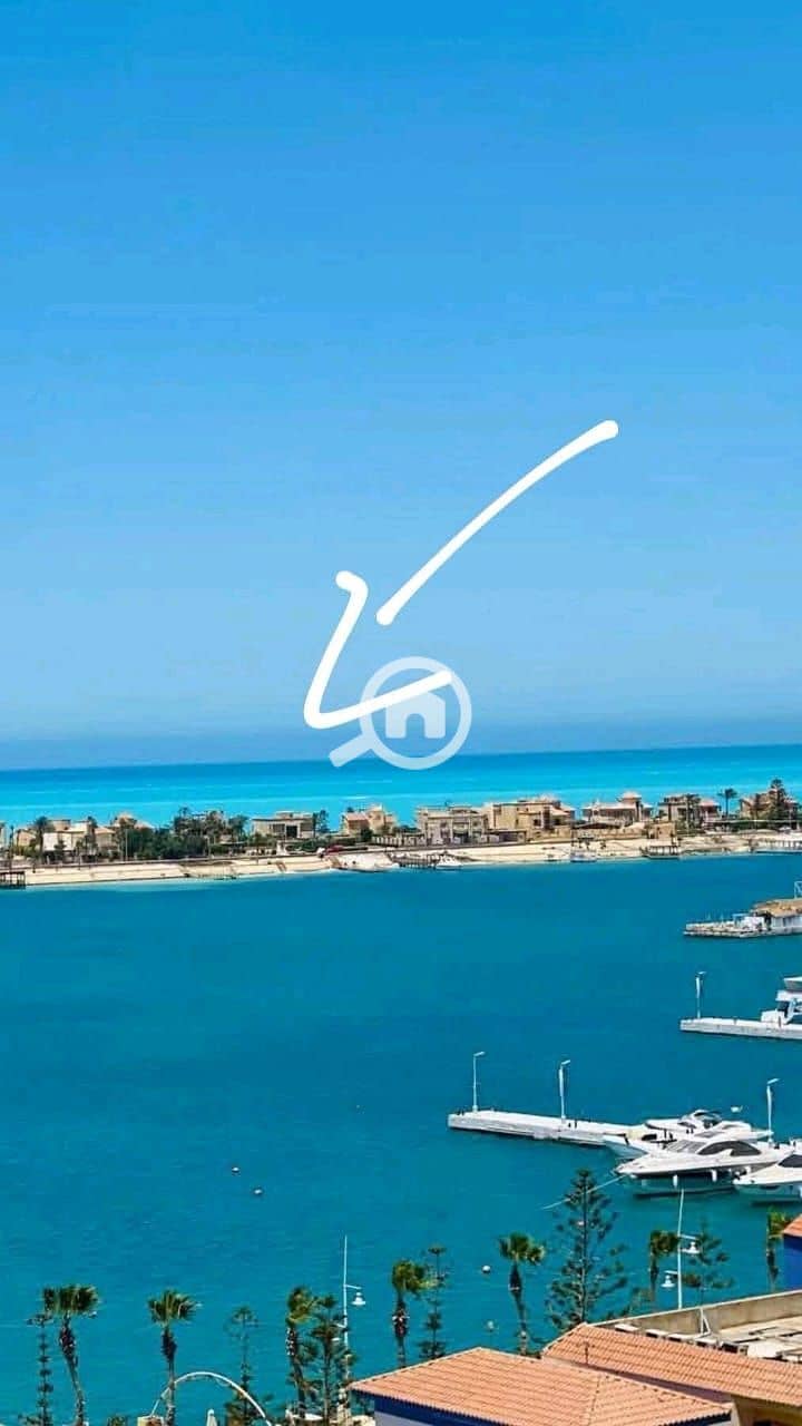 10 WhatsApp Image 2025-06-12 at 17.07. 19_526bbaf4. jpg