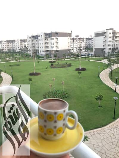 3 Bedroom Flat for Sale in Madinaty, Cairo - WhatsApp Image 2025-06-04 at 11.18. 50 AM. jpeg