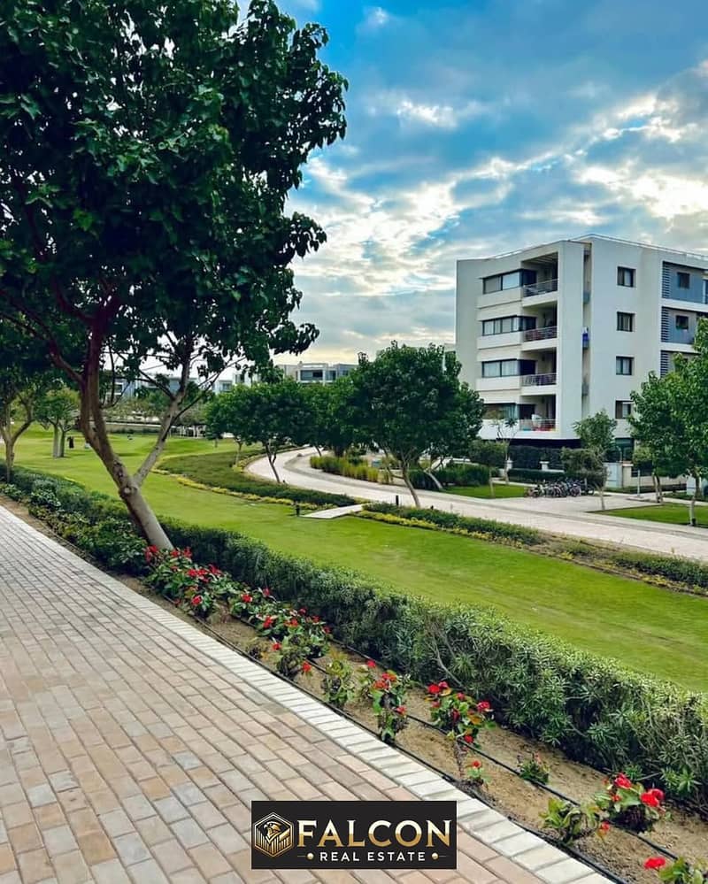 4 480559554_1182135076808366_2156805069887881542_n. jpg