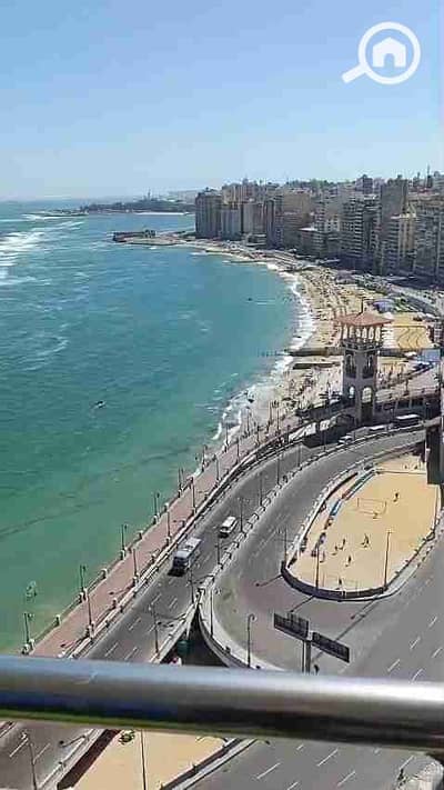 2 Bedroom Hotel Apartment for Rent in Miami, Alexandria - 1000636157. jpg