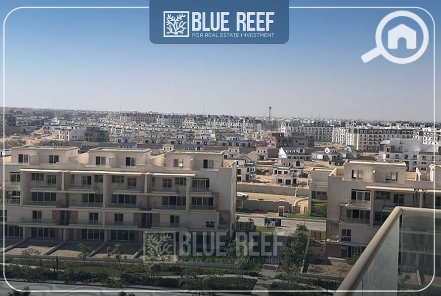 6 Bluereef  - Templ. jpg