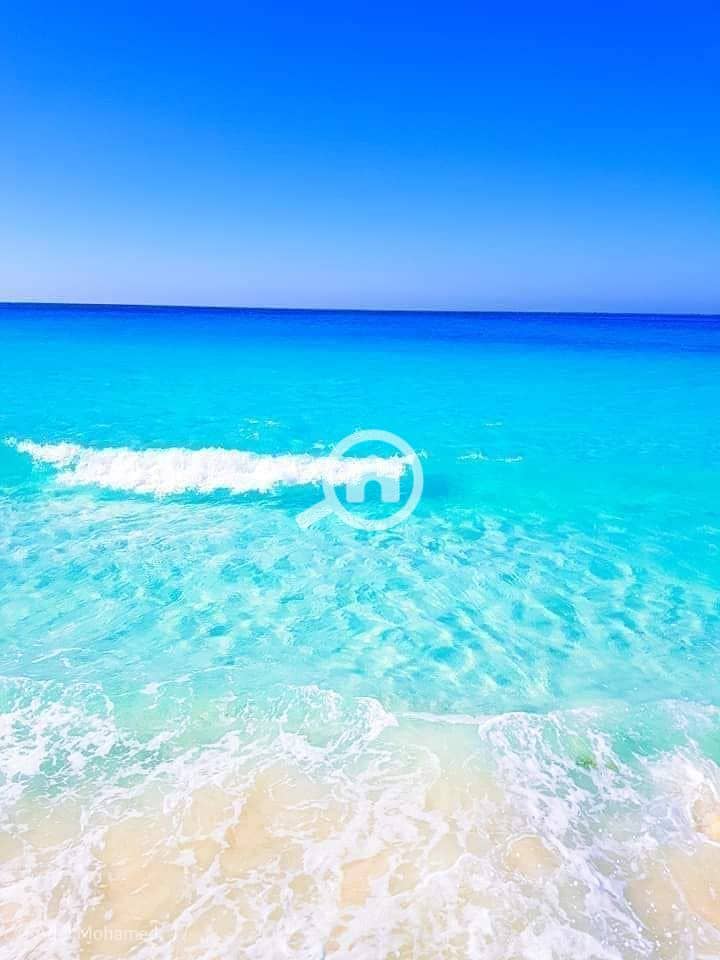 5 347565929_6166651136757111_8386381722309390420_n. jpg