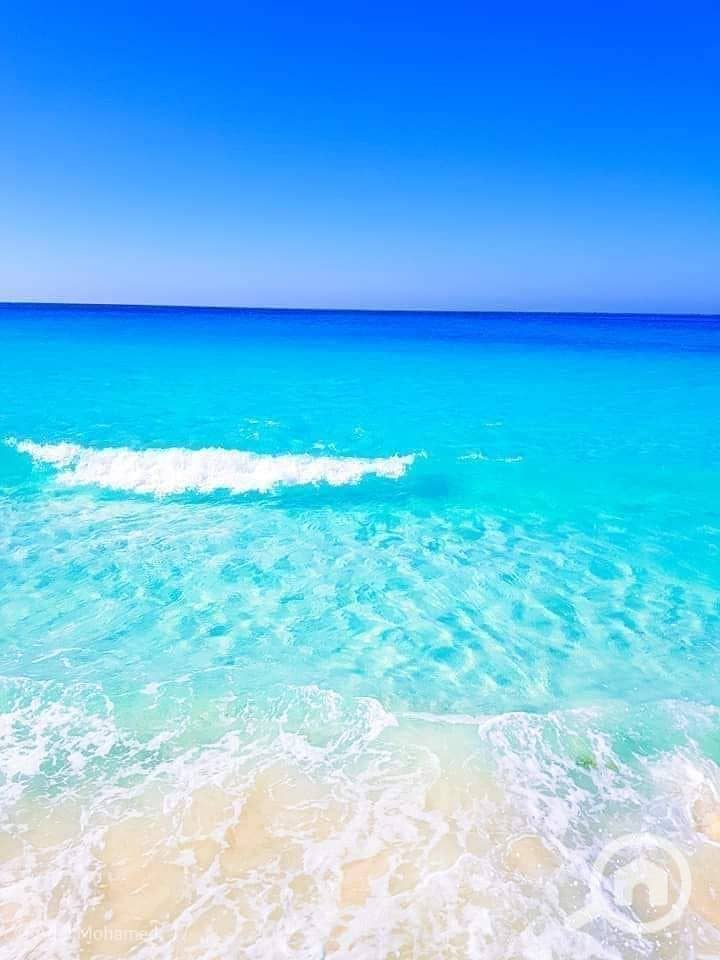 3 347565929_6166651136757111_8386381722309390420_n. jpg