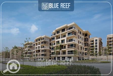3 Bedroom Apartment for Sale in New Cairo, Cairo - WhatsApp Image 2025-06-14 at 7.14. 55 PM (4). jpeg