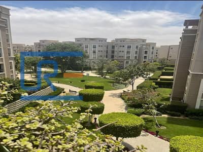 7 Bedroom Villa for Rent in New Cairo, Cairo - 6865c74d-8a2b-4831-8a8c-2ef3d39da76d. jpg