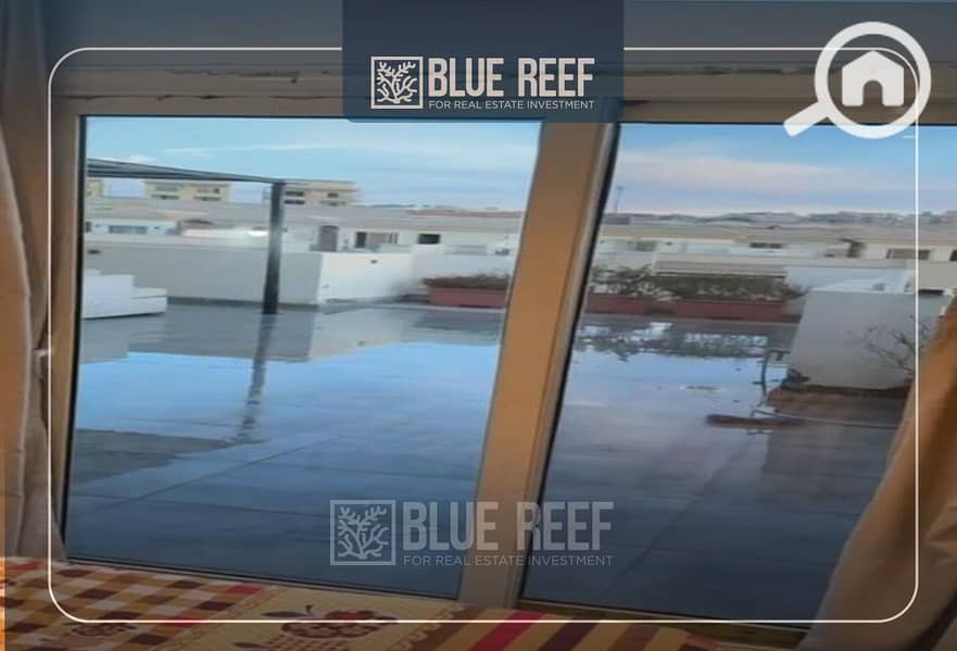 6 Bluereef  - Templete. psdsdfcv (1)-Recovered-بلب. jpg