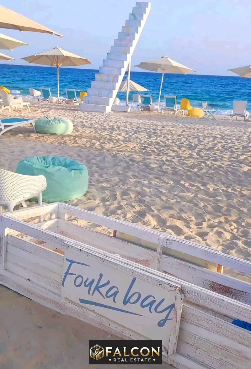 2 488360585_122172717440329767_5118929358386513086_n. jpg