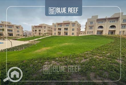 3 Bedroom Duplex for Sale in North Coast, Matruh - dhfj. jpg