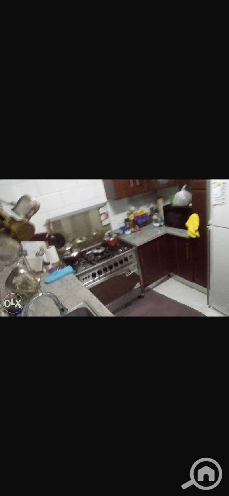 4 IMG_1463. png