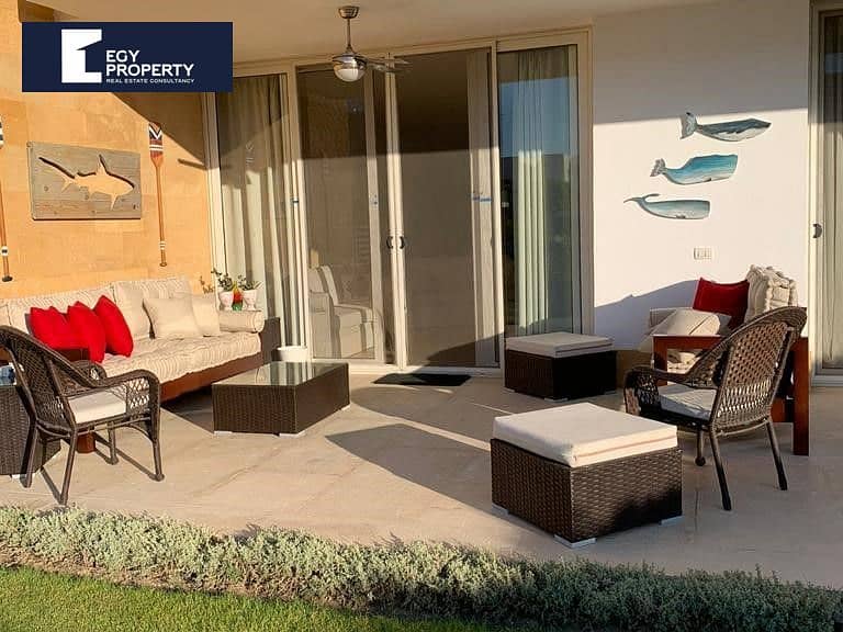 4 _files_tamer8. jpg