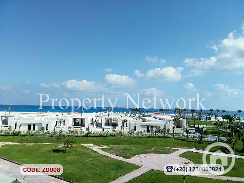 12 ZD008 (12). png