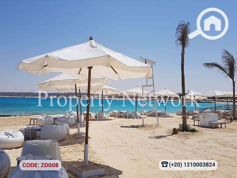 13 ZD008 (13). png