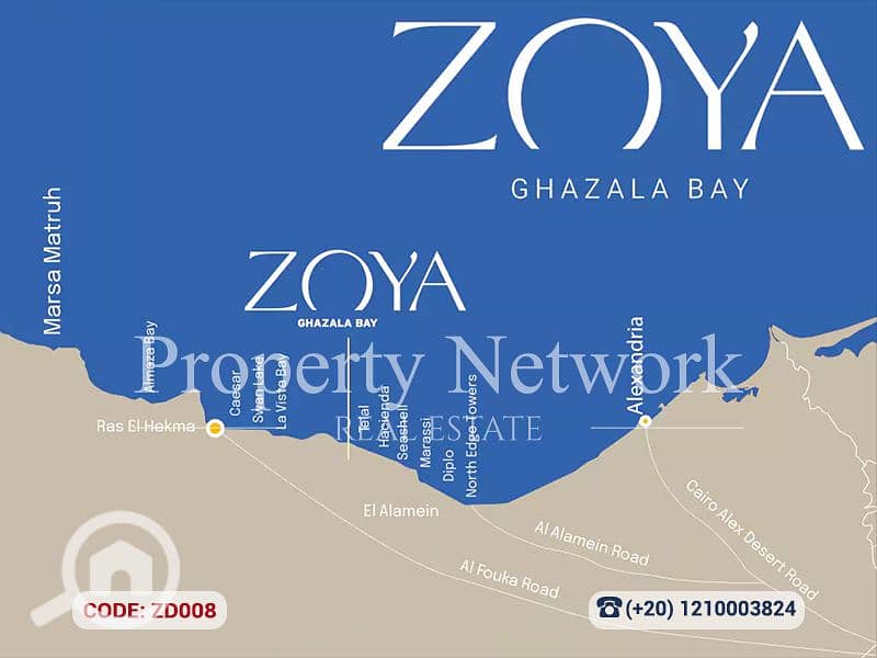 14 ZD008 (14). png