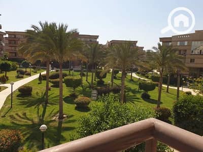 شقة 3 غرف نوم للايجار في القاهرة الجديدة، القاهرة - WhatsApp Image 2024-11-24 at 2.26. 56 PM. jpeg