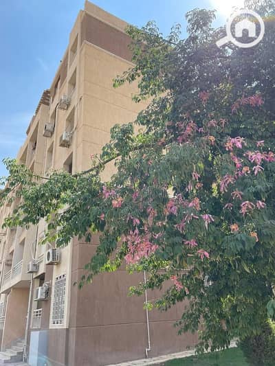 3 Bedroom Apartment for Sale in Madinaty, Cairo - WhatsApp Image 2024-10-27 at 3.45. 40 PM. jpeg
