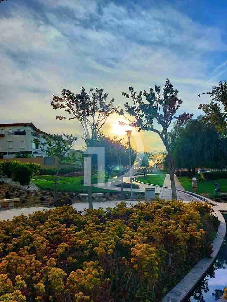 15 1000434168. jpg