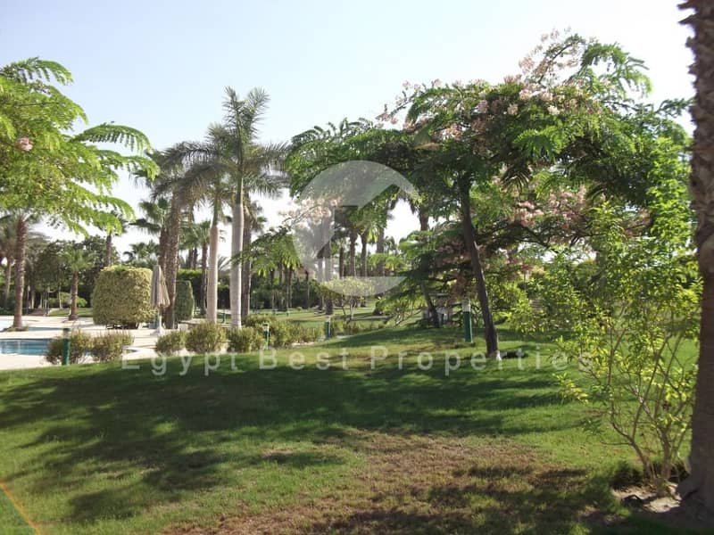 8 10. JPG