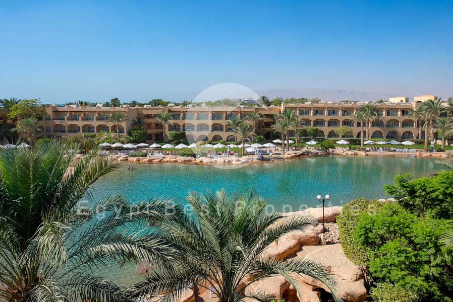 8 Stella_Di_Mare_Grand_Hotel_Ain_Soukhna_Pool_3. jpg