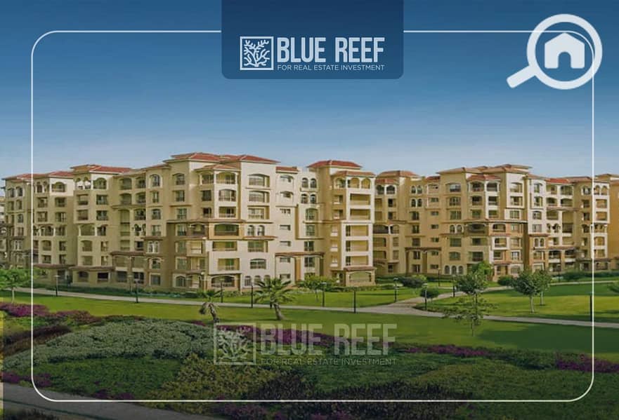 3 Bluereef  - Templete. psdsdfcv بببي. jpg