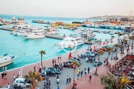 2 Bedroom Flat for Sale in North Coast, Matruh - 505353531_4096319123932646_4830346406578479126_n. jpg