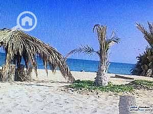 2 realestate_شالية-بقرية-شط-النخيل-بالما-بيتش_120250111105116_th. jpeg
