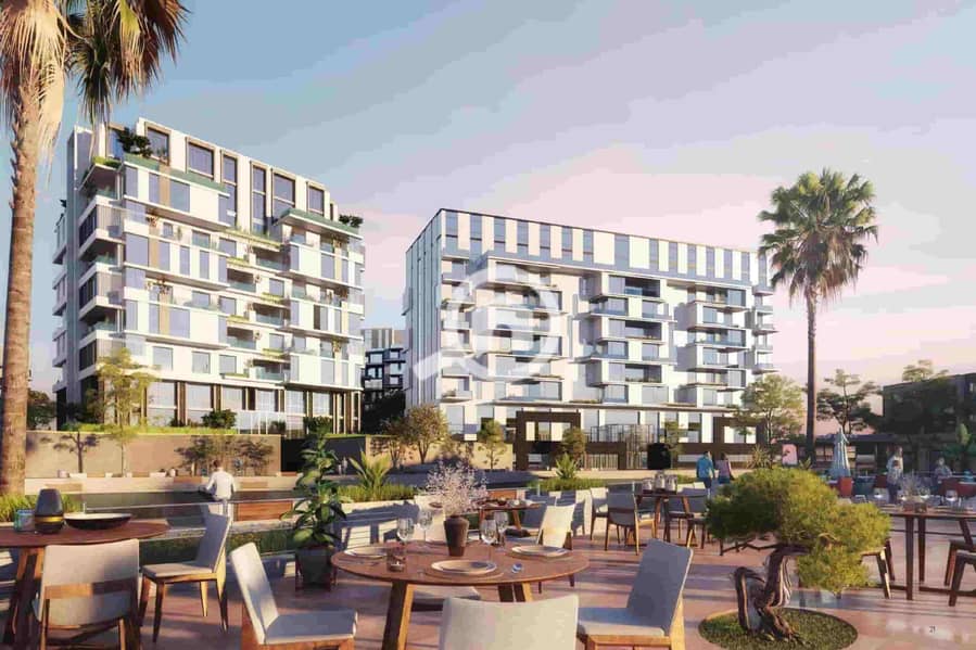 11 Arkan-Palm-el-sheikh-Zayed-scaled. jpg