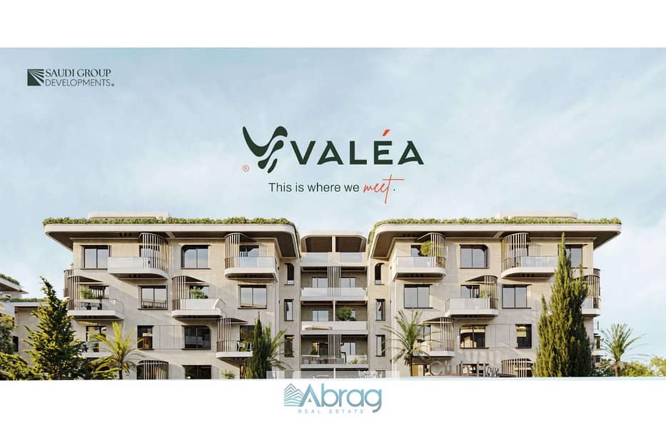 5 VALEA - Sales Kit_page-0001. jpg