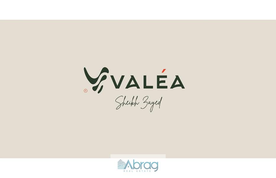 6 VALEA - Sales Kit_page-0003. jpg