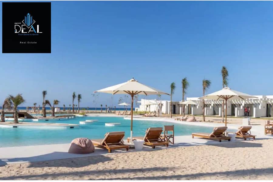 4 D-Bay Summer 24 Live_page-0013. jpg