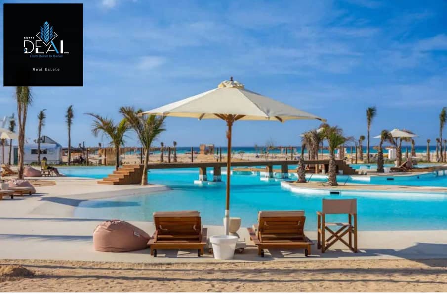 4 D-Bay Summer 24 Live_page-0012. jpg